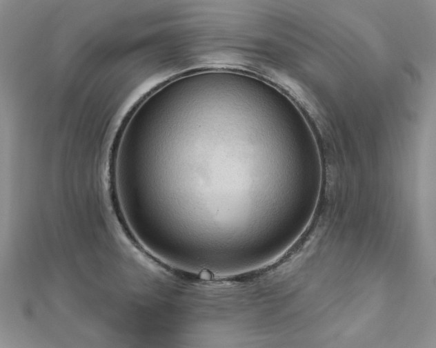 X0000113131331200909041139