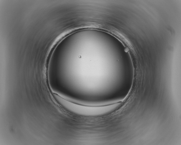 X0000113131332200909041139