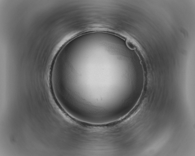 X0000113131333200909041139
