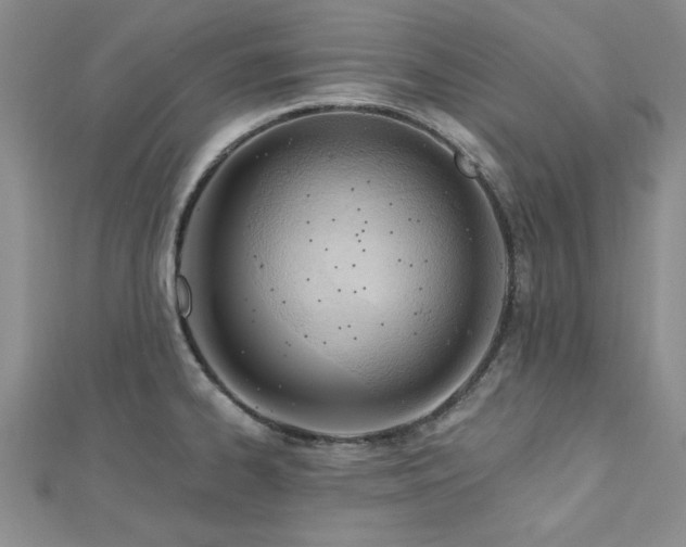 X0000113131334200909041139