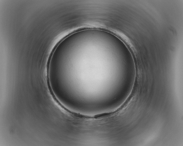 X0000113131335200909041139