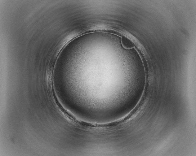 X0000113131337200909041139