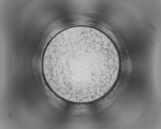 X0000113131338200909041139