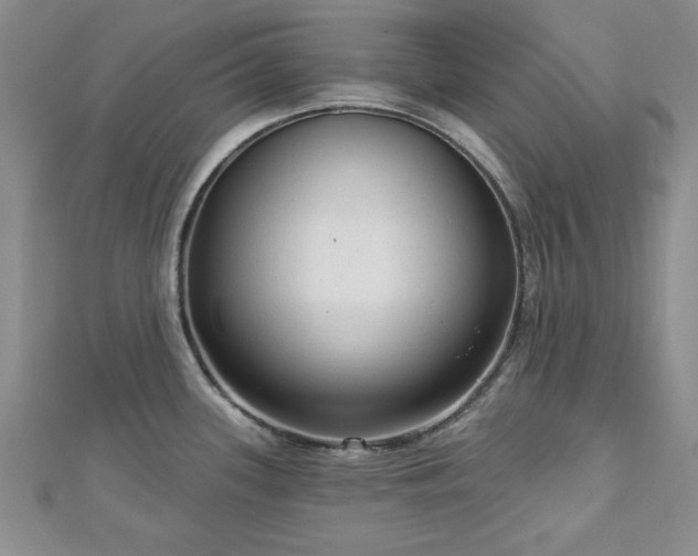 X0000113131339200909041139
