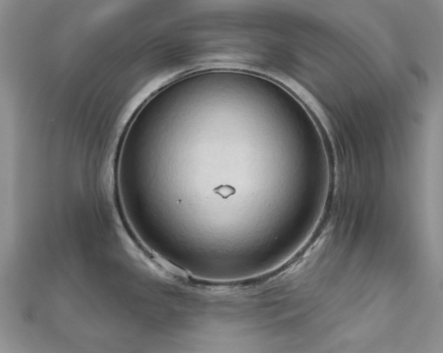 X0000113131341200909041139