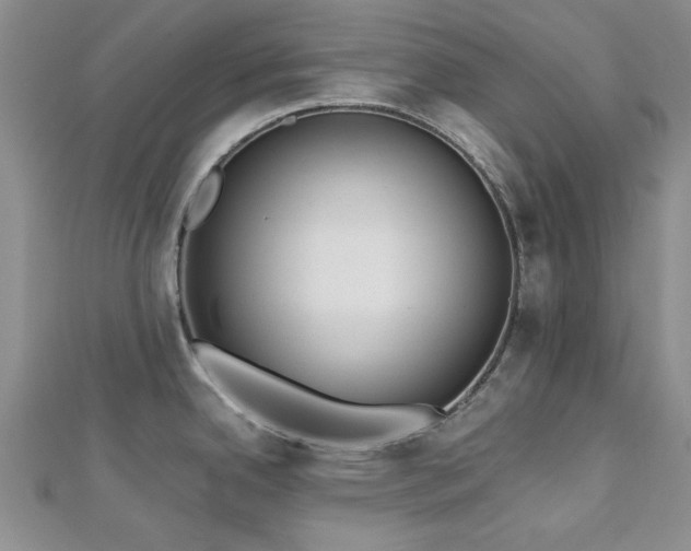 X0000113131342200909041139