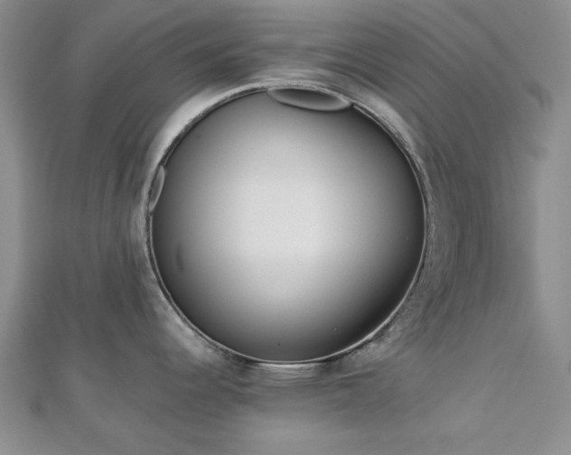 X0000113131344200909041139