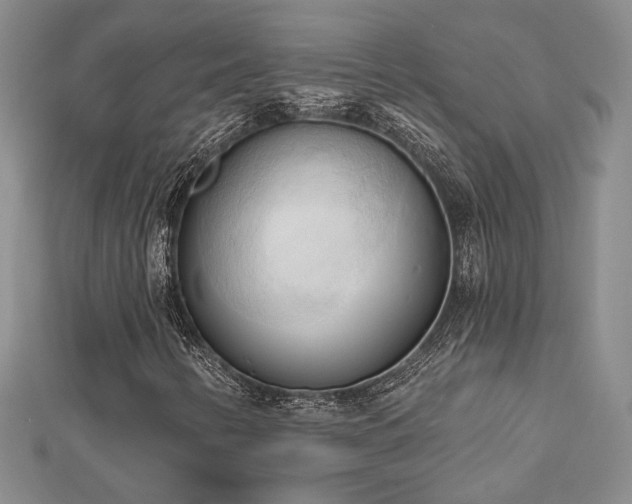 X0000113131346200909041139