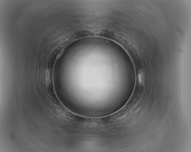 X0000113131347200909041139