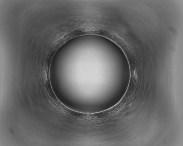 X0000113131348200909041139