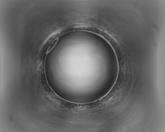 X0000113131351200909041139