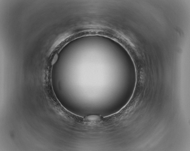 X0000113131352200909041139