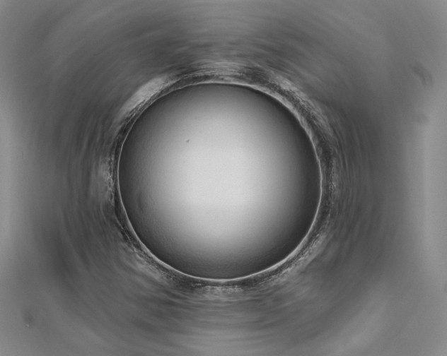 X0000113131354200909041139