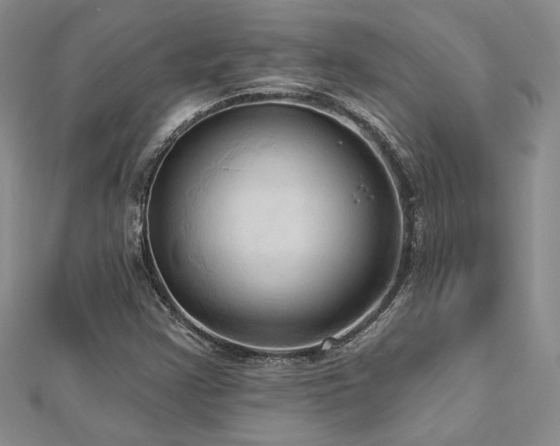 X0000113131355200909041139