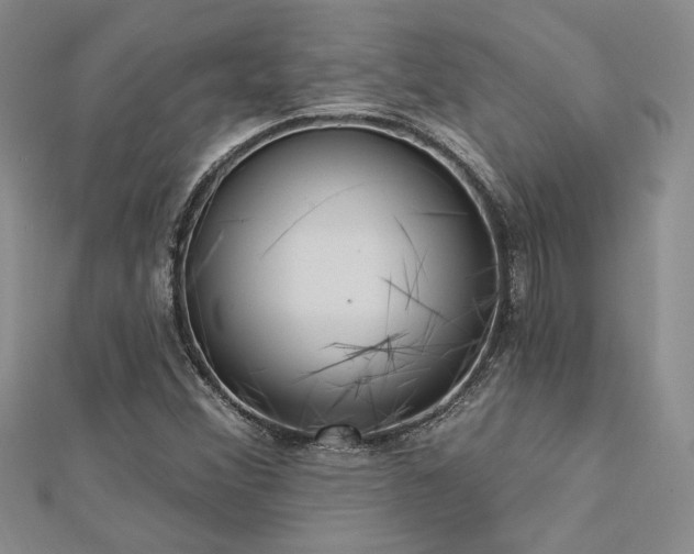 X0000113131356200909041139
