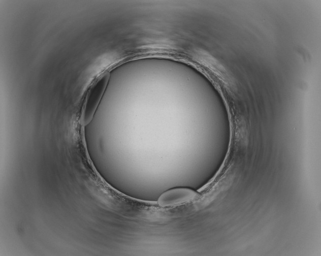 X0000113131357200909041139