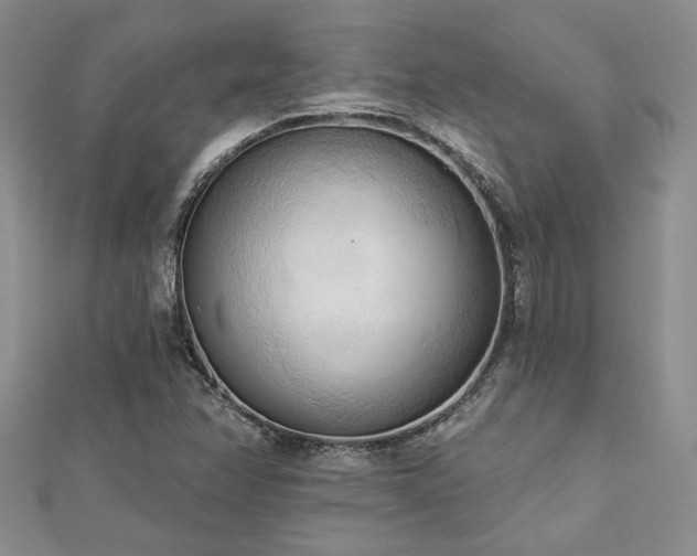 X0000113131358200909041139
