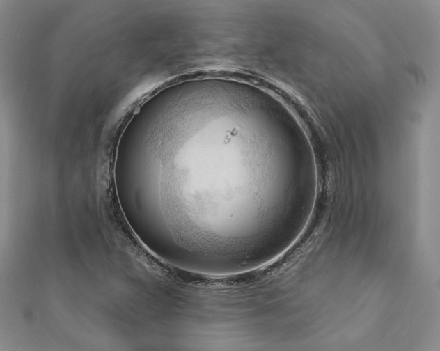 X0000113131359200909041139