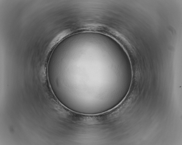 X0000113131362200909041138