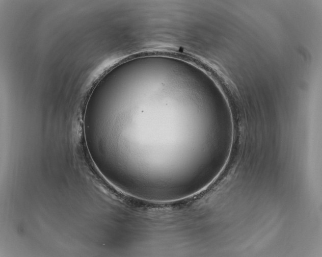 X0000113131363200909041138