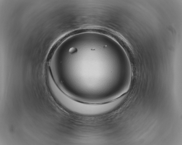 X0000113131364200909041138