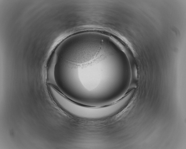 X0000113131365200909041138