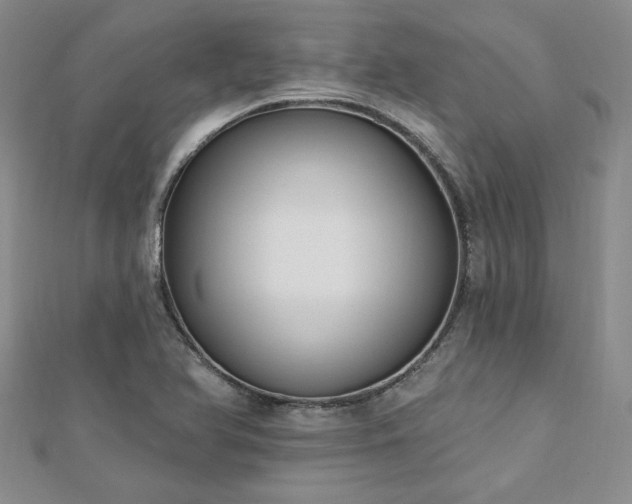 X0000113131366200909041138