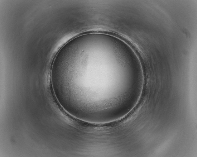 X0000113131367200909041138