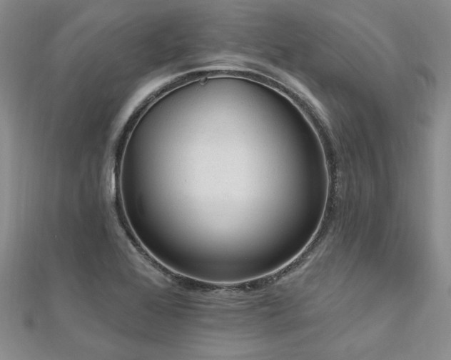 X0000113131368200909041138