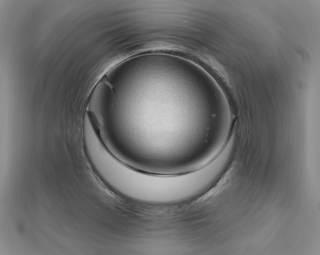 X0000113131369200909041138