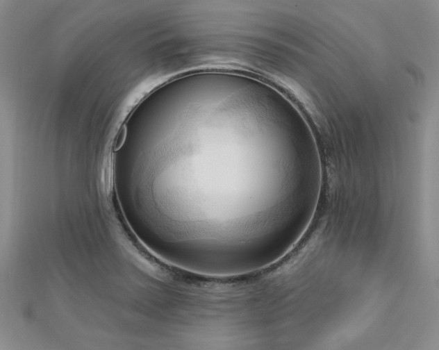 X0000113131371200909041138