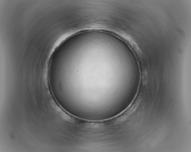 X0000113131374200909041138