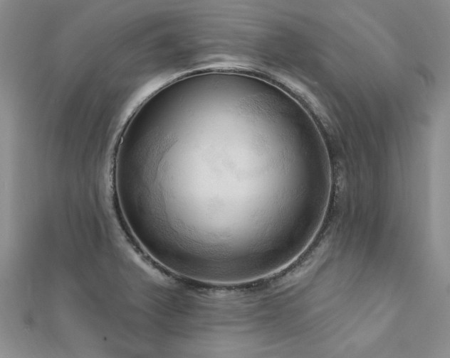 X0000113131375200909041138