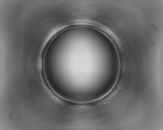 X0000113131376200909041138