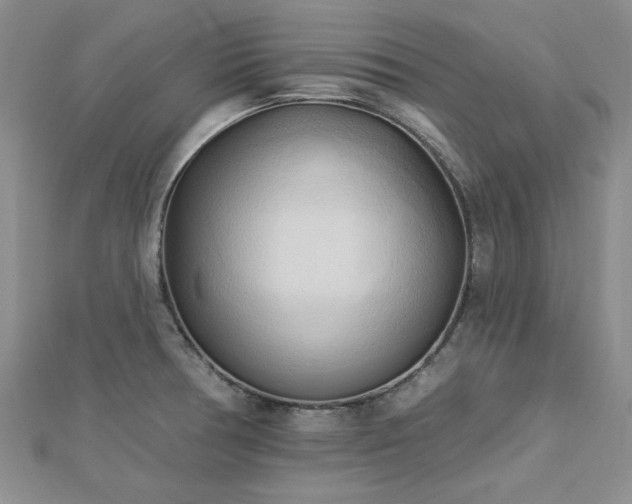 X0000113131378200909041138