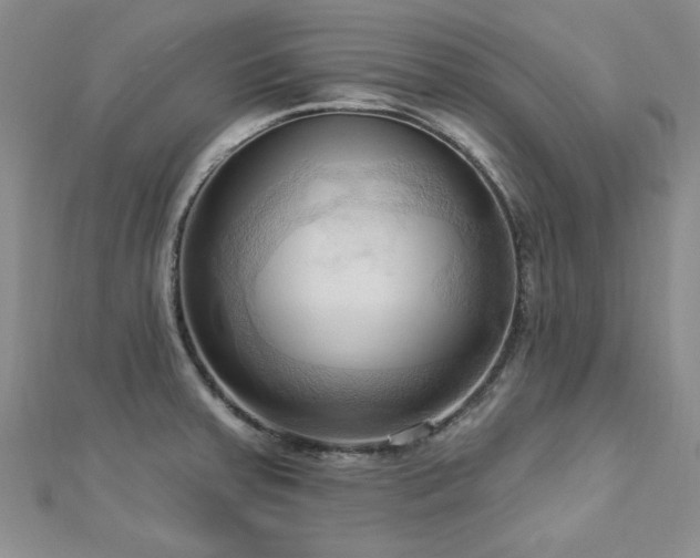 X0000113131379200909041138