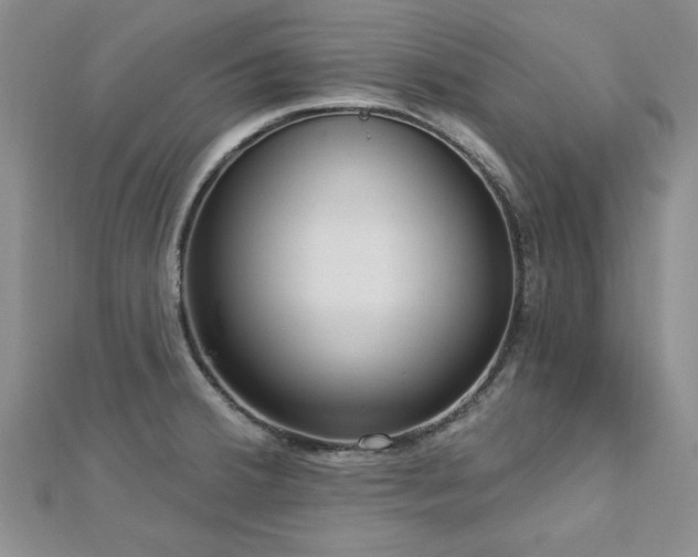 X0000113131380200909041138