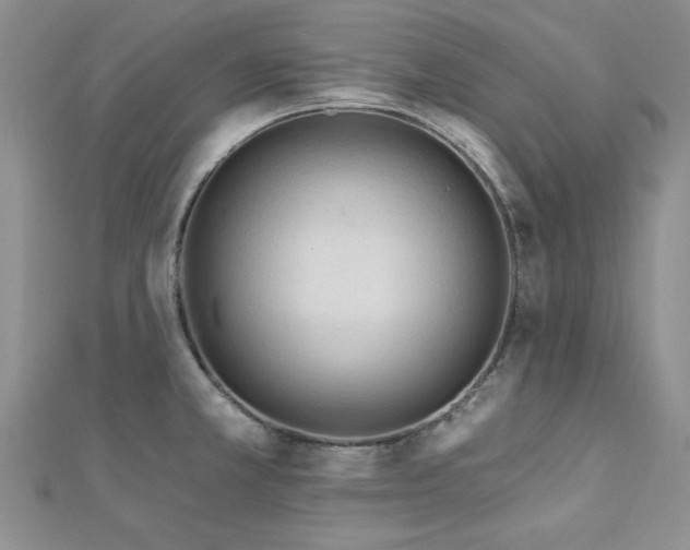 X0000113131381200909041138