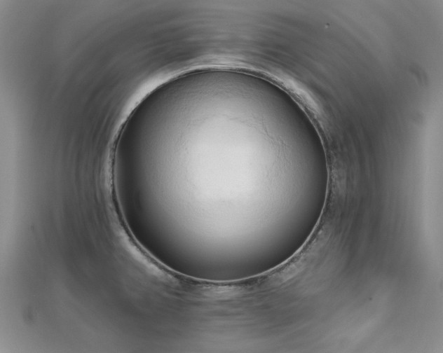 X0000113131382200909041138