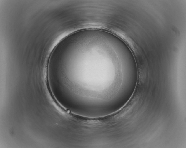 X0000113131383200909041138