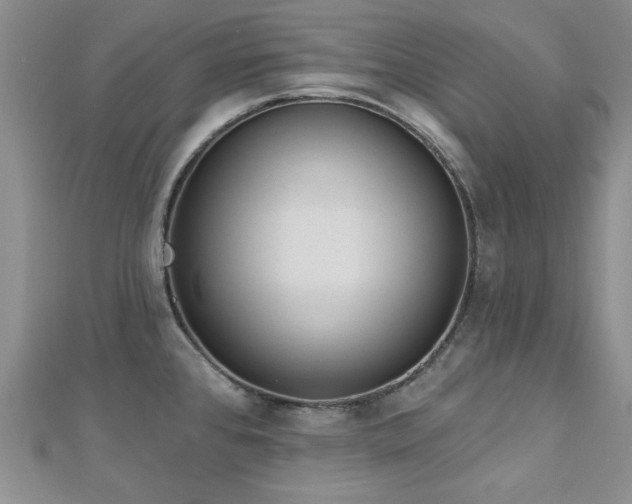 X0000113131384200909041138