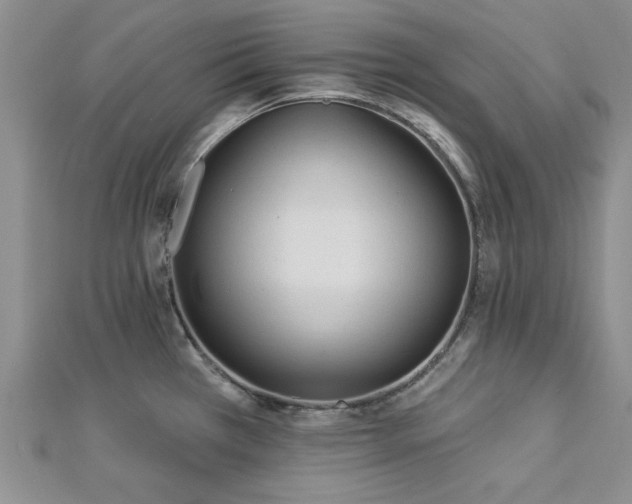 X0000113131385200909041138