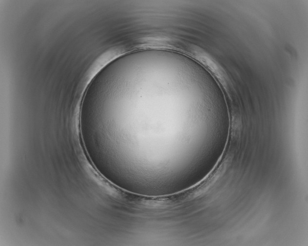 X0000113131386200909041138