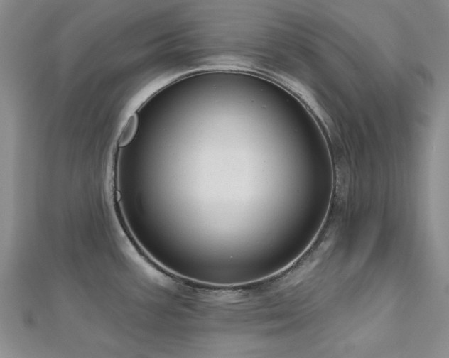 X0000113131387200909041138