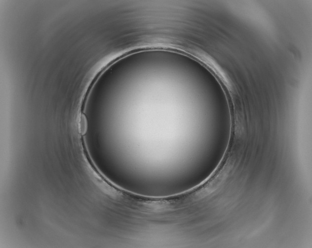X0000113131388200909041138