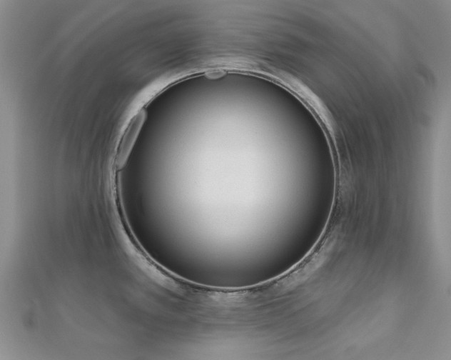 X0000113131389200909041138