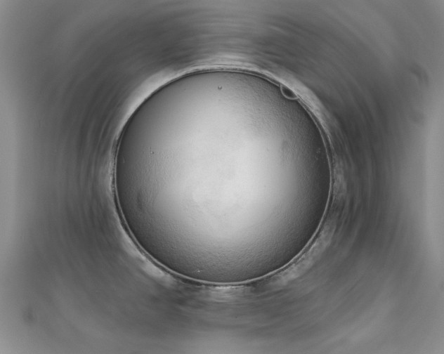 X0000113131390200909041138