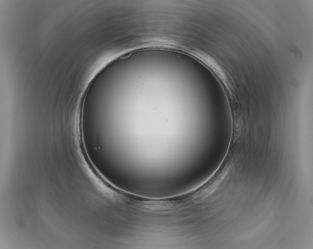 X0000113131391200909041138