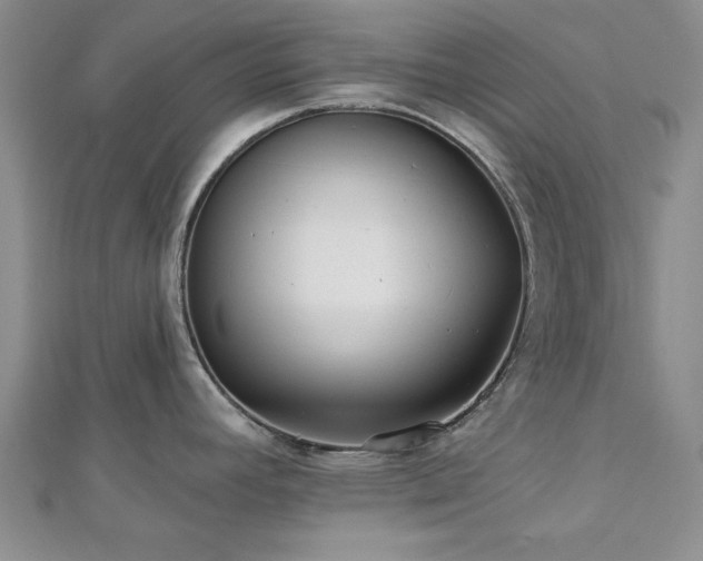 X0000113131392200909041138