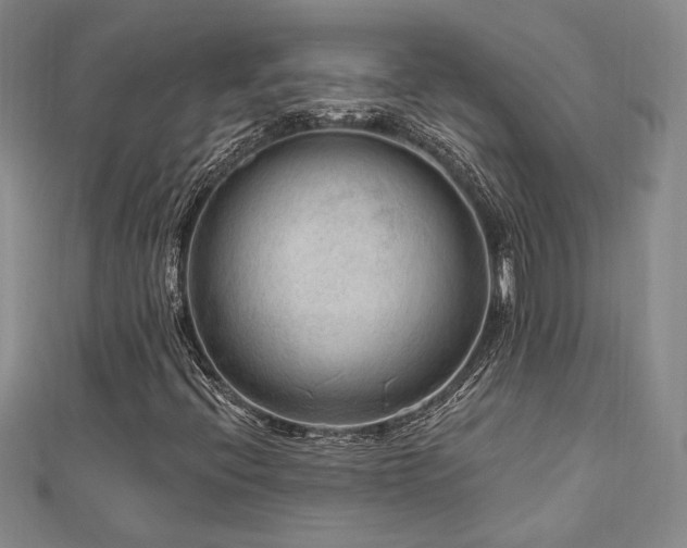 X0000113131396200909041138